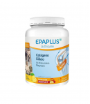 EPAPLUS Arthicare Mantenimiento Colágeno Vainilla 334gr Articulaciones