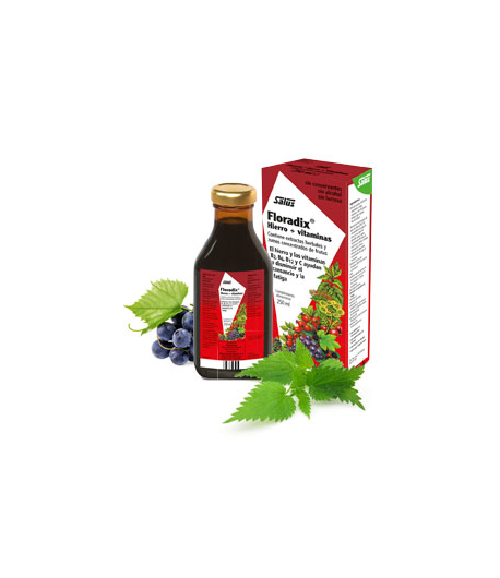 Floradix Hierro + Vitaminas 250ml Hierro